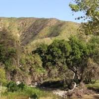 Randonnée a Placerita Canyon