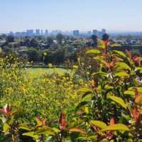 Randonnée : Will Rogers State Park