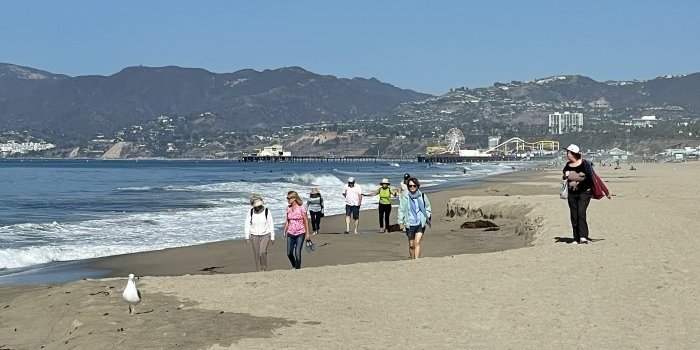 Marche à la Plage