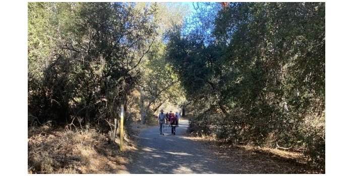 Randonnee : Sullivan Canyon
