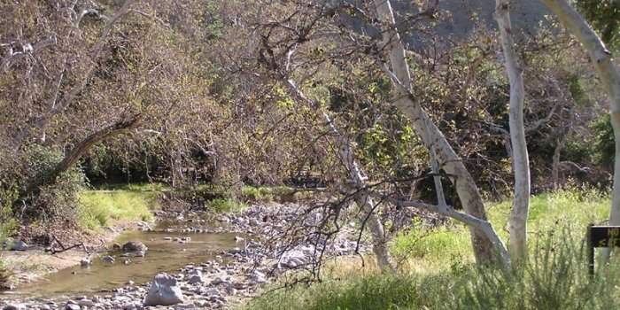 Randonnée : Placerita Canyon