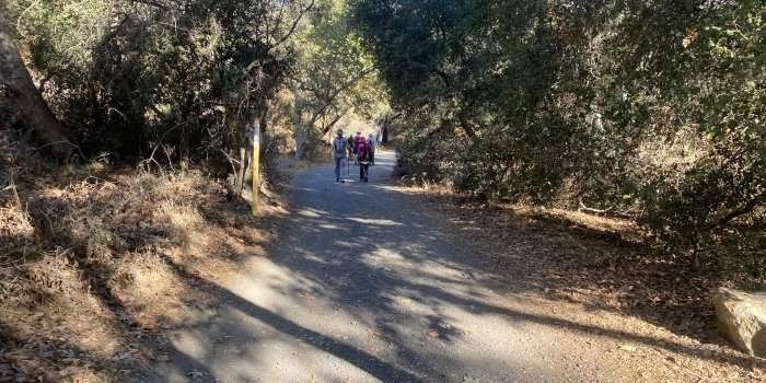 Randonnee : Sullivan Canyon