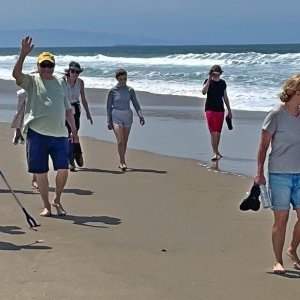 Marche à la Plage - Mardi 9 septembre de 10h00 à 12h00 Marche à la Plage