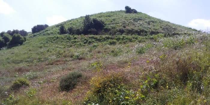 Randonnée : Baldwin Hills Scenic Overlook