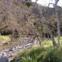 Randonnée : Placerita Canyon