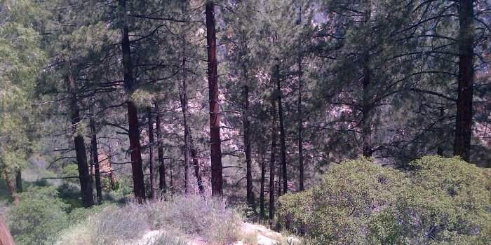 Randonnée : Sam Merrill Trail to Echo Mountain in the San Gabriel Mountains