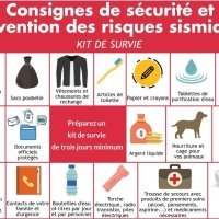 Réunion Sécurité par le Consulat