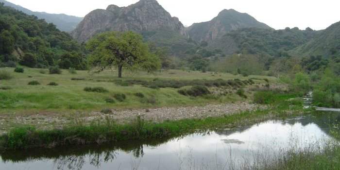 Randonnée : Malibu Creek State Park