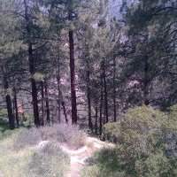 Randonnée : Sam Merrill Trail to Echo Mountain in the San Gabriel Mountains