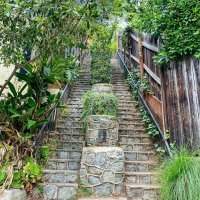"Secret Stairs" (PART.1) : Beachwood Canyon