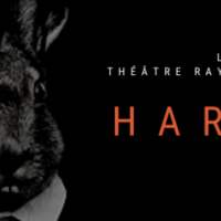Théâtre : TRK présente "Harvey" 