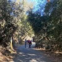 Randonnee : Sullivan Canyon