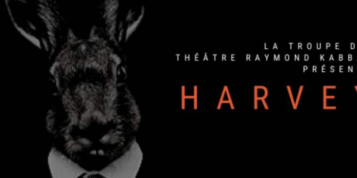 Théâtre : TRK présente "Harvey" 