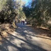 Randonnee : Sullivan Canyon