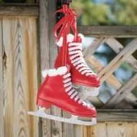 Célébrons la Holiday Season ! Patinoire & Dejeuner !