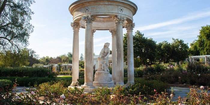 Sortie Musée : Huntington Gardens 